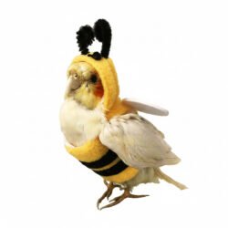 Bird Cosplay Clothes-Bee Shaped Hoodies