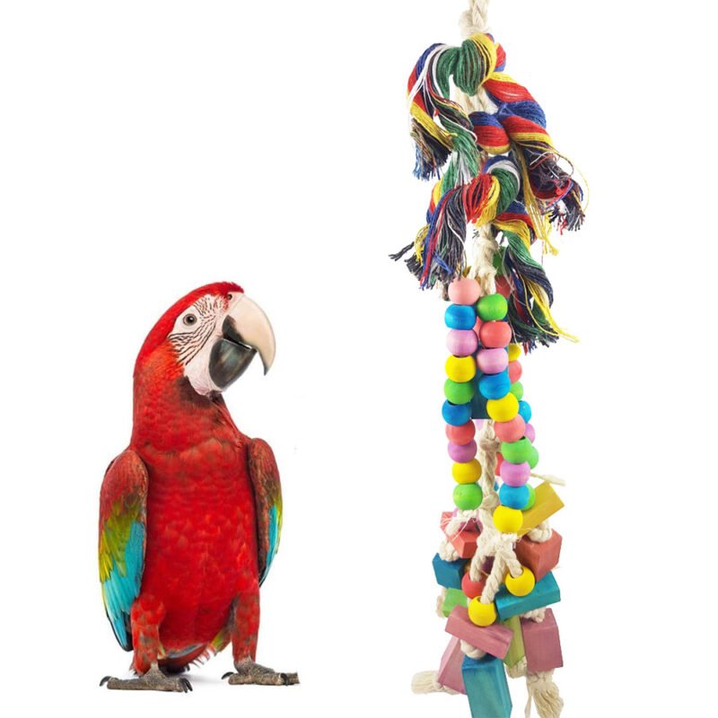 Large Parrot Hanging Bird Toys