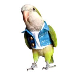 Parrot Denim Jacket Bird Clothes