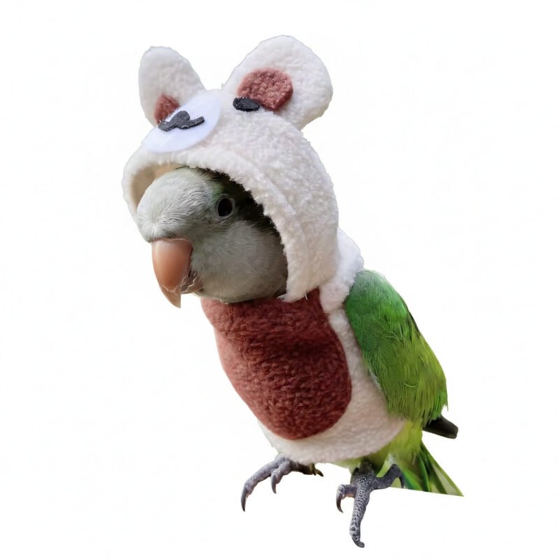 Bear Cosplay Bird Costume