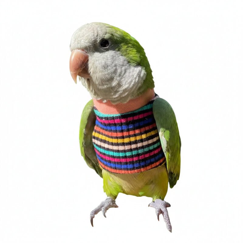Colorful Striped Knitted Bird Sweater