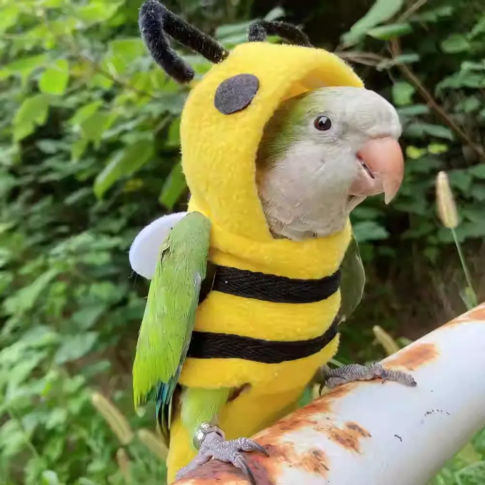 Bee Cosplay Bird Costume - Image 2