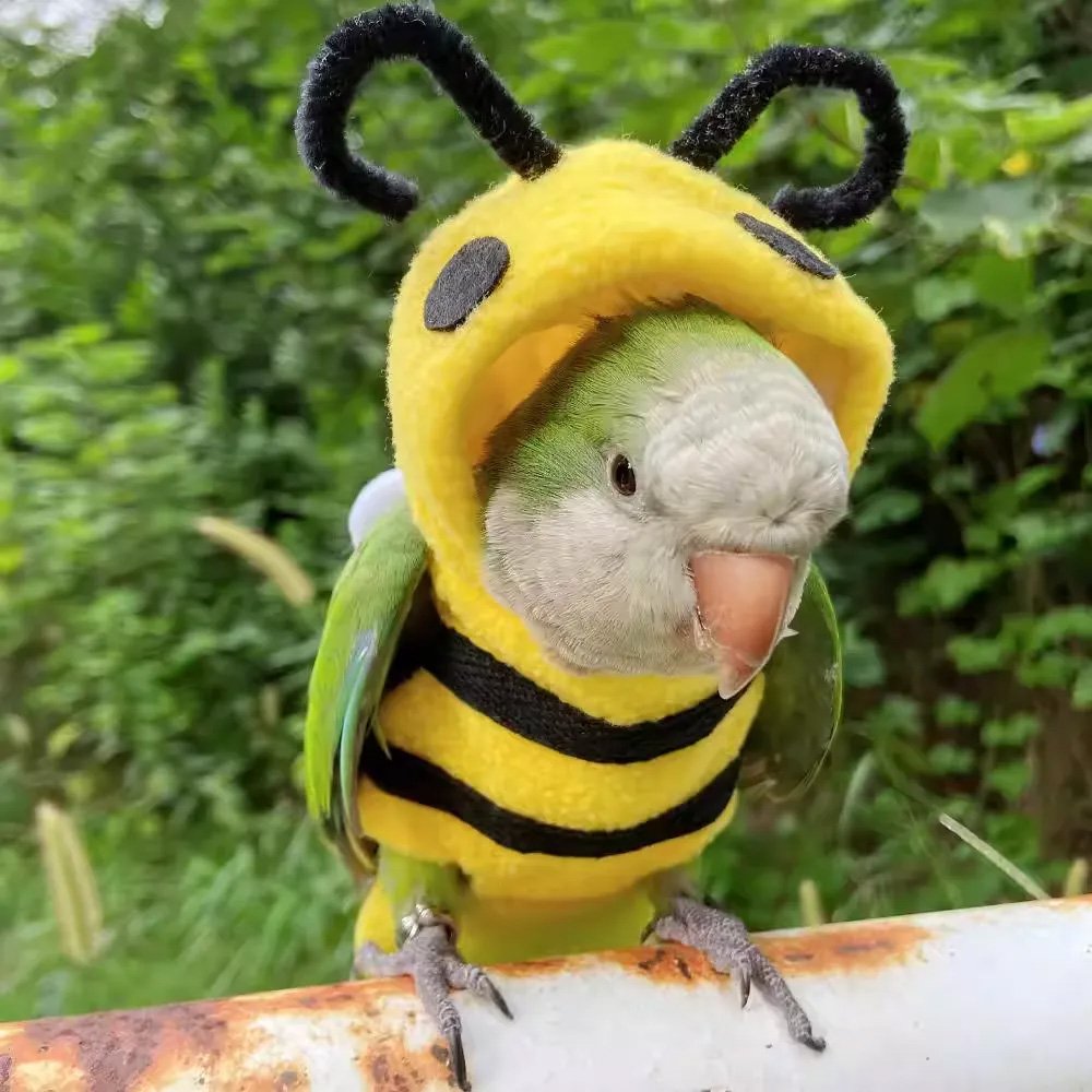 Bee Cosplay Bird Costume - Image 3