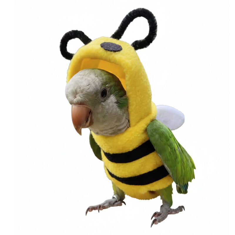 Bee Cosplay Bird Costume