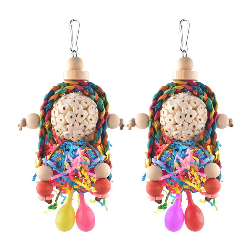 Bird Conure Toys 2PCS