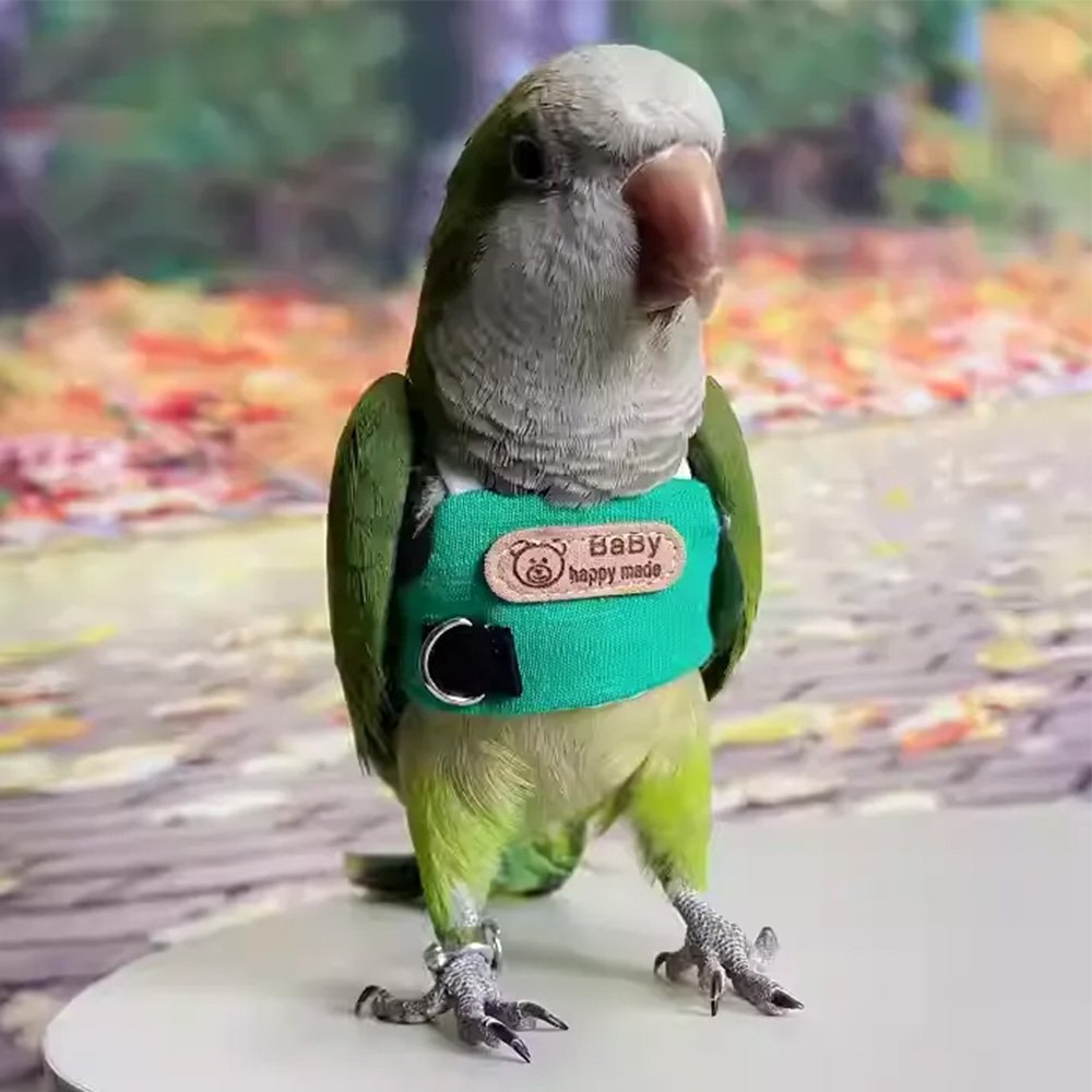 Green Bird Flight Training Rope - Image 2