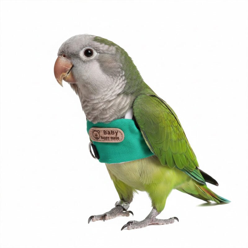 Green Bird Flight Training Rope