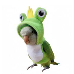 Frog Cosplay Bird Costume