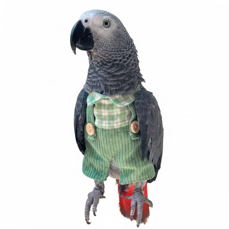 Plaid Overalls Bird Costume