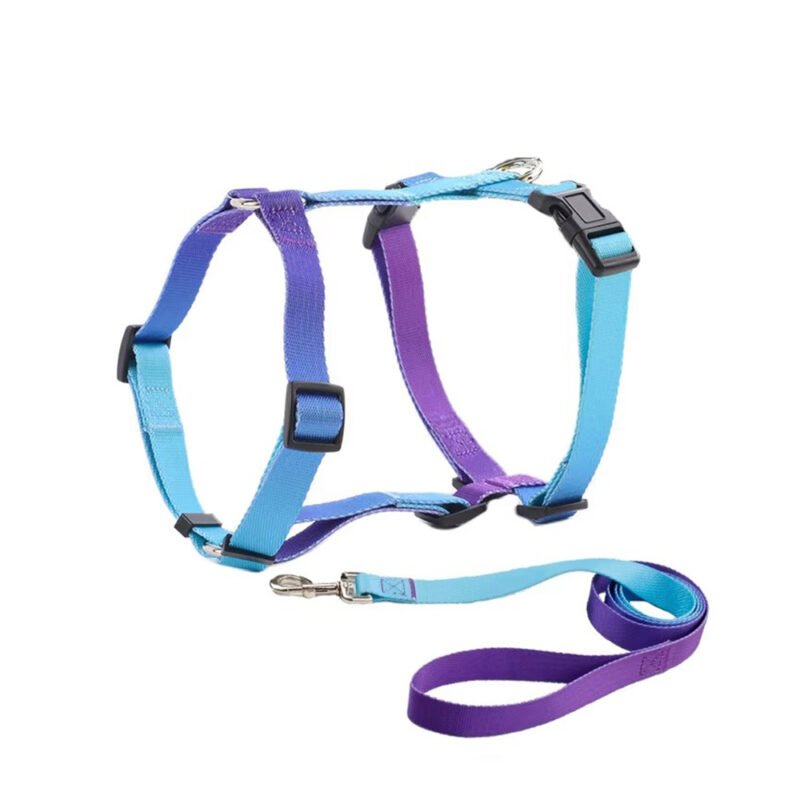 Gradient Nylon Dog Harness and Leash Set