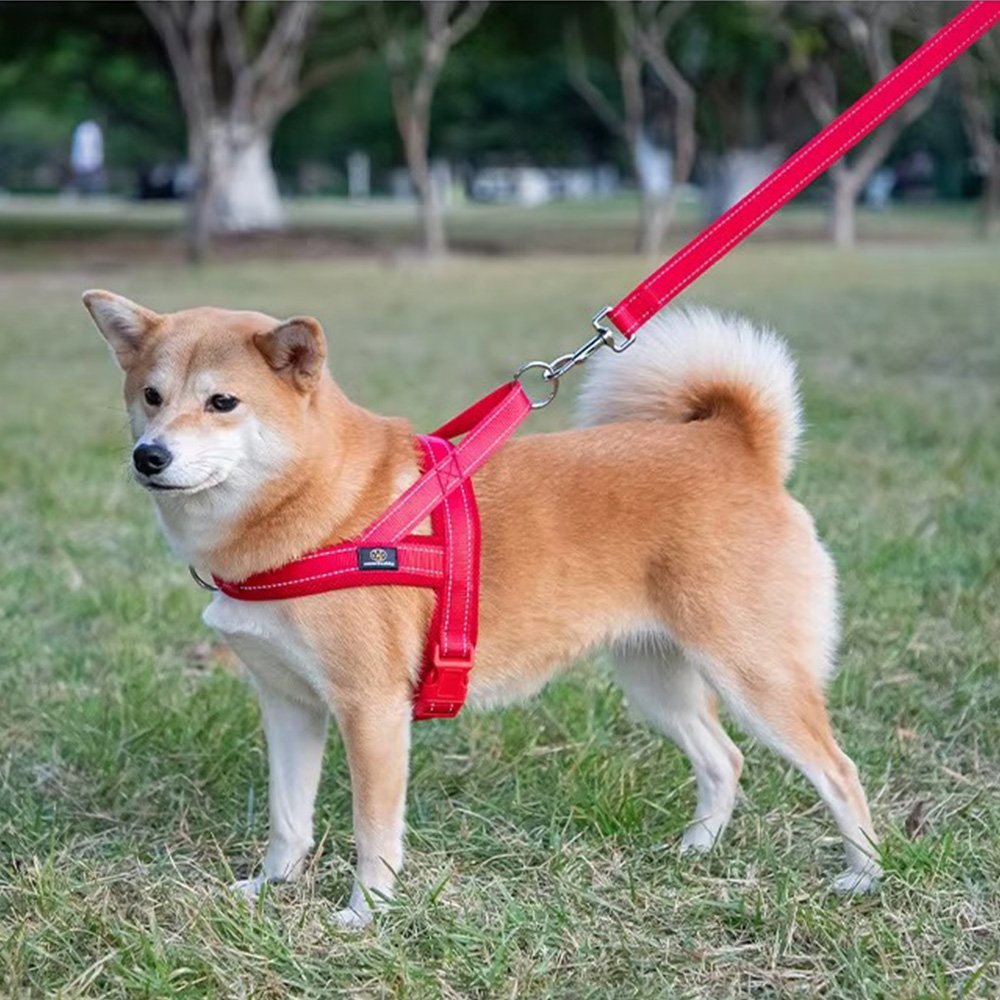 Reflective Breathable Dog Harness – Adjustable Nylon Mesh Pet Chest Vest for Small, Medium & Large Dogs - Image 2