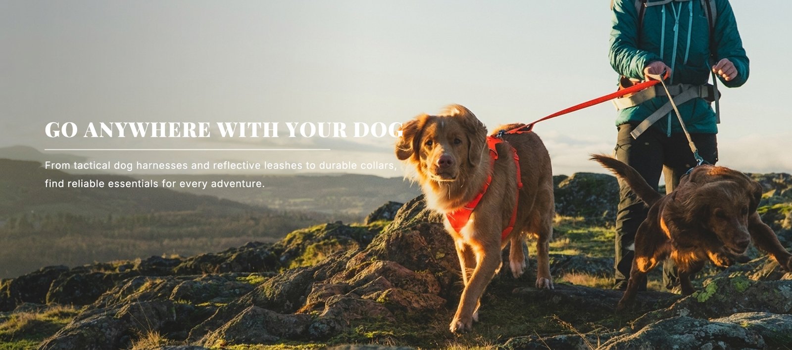 Outdoor Dog Essentials Collection Harness and Leashes